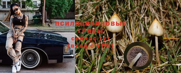 шишки Богданович
