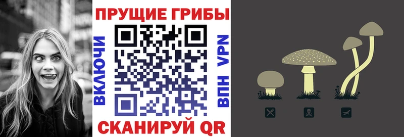 Псилоцибиновые грибы прущие грибы  Волжск 