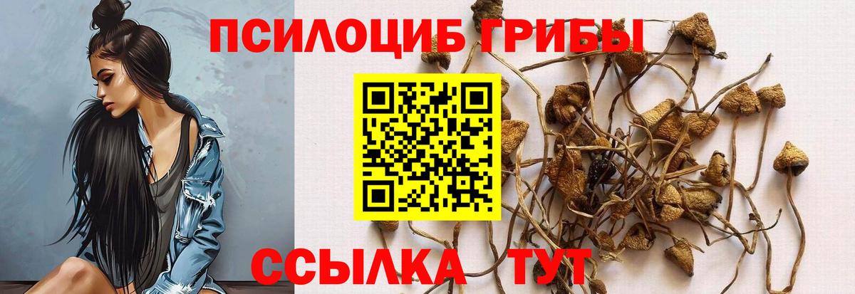 Псилоцибиновые грибы Magic Shrooms  Галлюциногенные грибы GOLDEN TEACHER  Волжск  Вход с VPN 